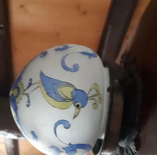 Daina Bianca Solignano