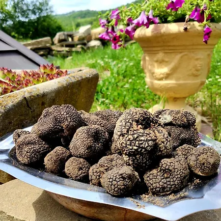 Daina Bianca Bed & Breakfast