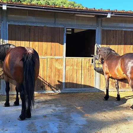 Bed & Breakfast Daina Bianca Solignano