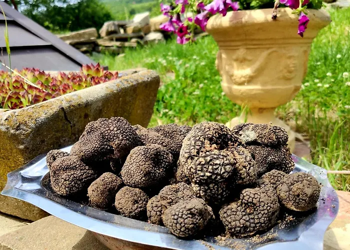 Daina Bianca Bed and Breakfast