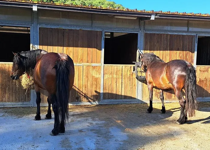 Bed and Breakfast Daina Bianca Solignano